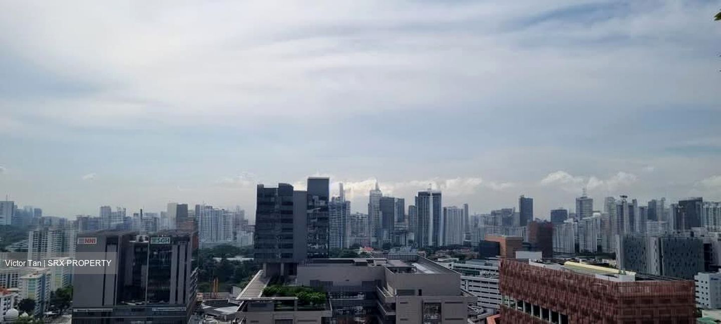 Spottiswoode Suites (D2), Apartment #584932931